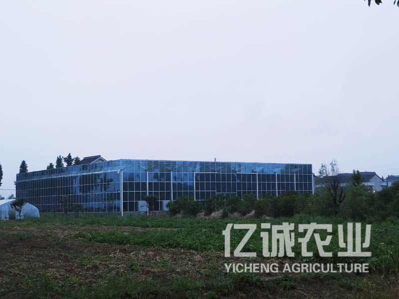 智能溫室大棚遇到大風該怎么加固？