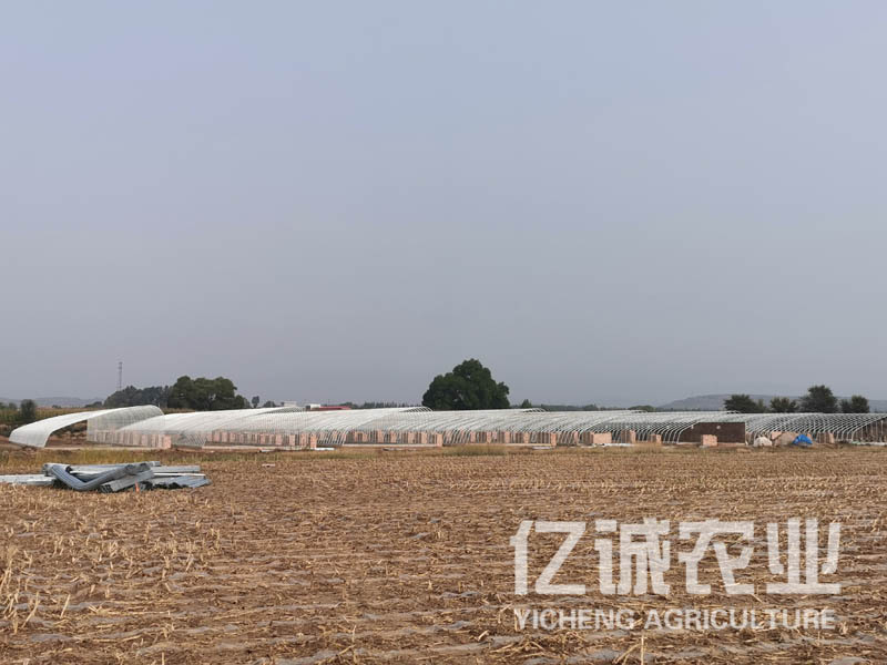 智能日光溫室大棚室內可利用空間大，造價低，使用方便，通風效果好