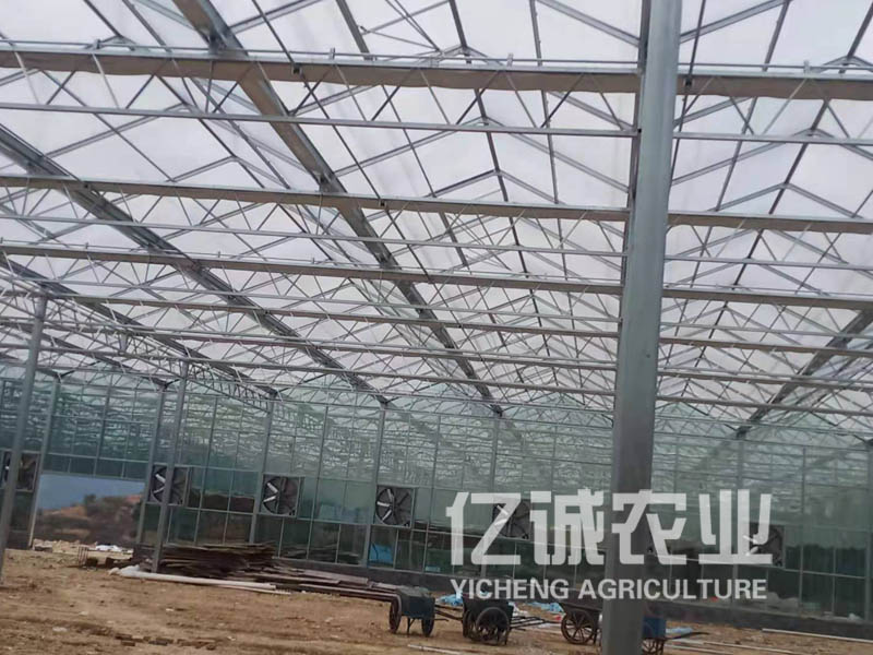 智能蔬菜溫室大棚結束了中國北方到了冬天就只能靠蘿卜、白菜生活的日子