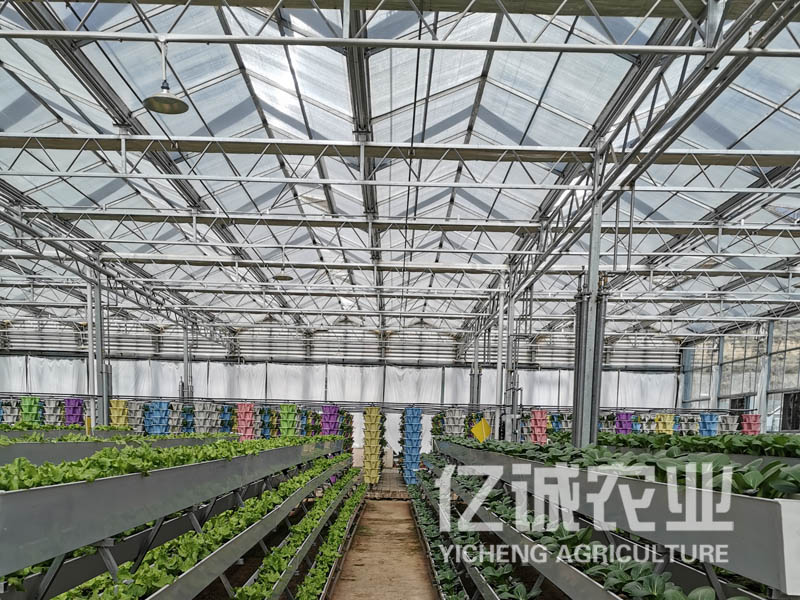 現代溫室大棚建設規劃 -現化化智能溫室因地制宜搭建設計、規劃方案