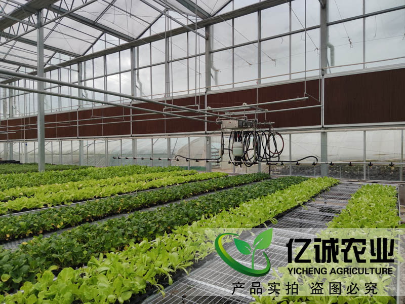 現代化智能溫室大棚如何建造？智能化連棟溫室大棚多少錢一個平方？