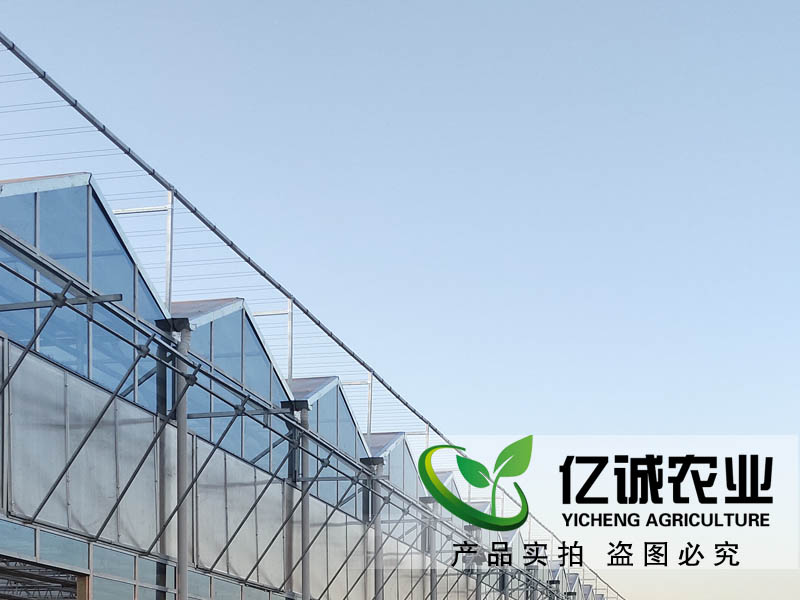 玻璃溫室每平方米報價多少？現代化智能溫室大棚造價？