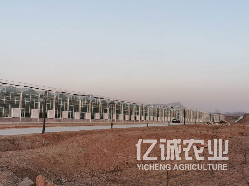 玻璃溫室工程建設需要什么手續？建設注意事項