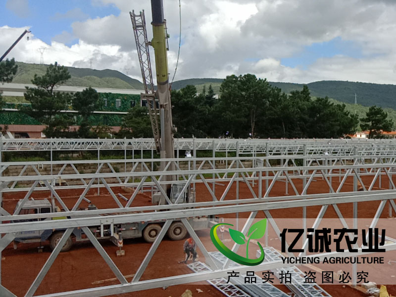 建一畝地溫室大棚多錢？