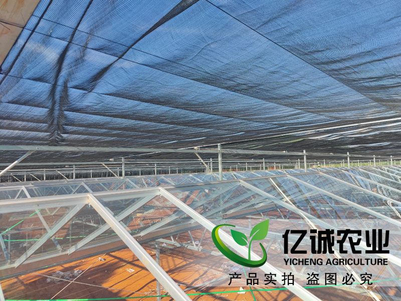  荷蘭溫室大棚能夠高產的原因有哪些？