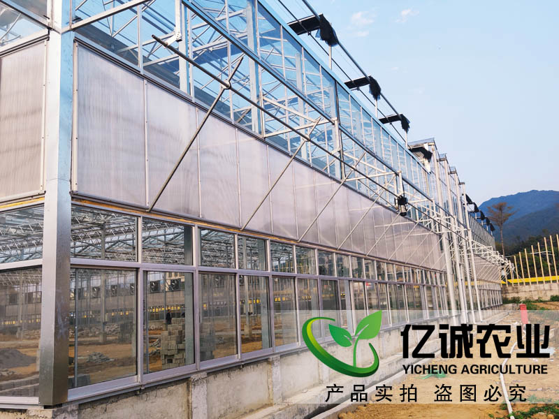 玻璃溫室大棚造價多少錢一畝？玻璃連棟溫室大棚價格高不高？