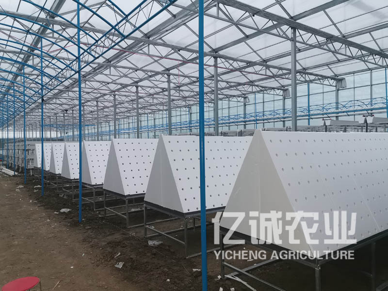 薯類作物的溫室大棚怎么建設？造價高不高？